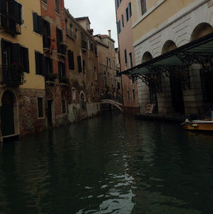 Meet your Posher, Ayla